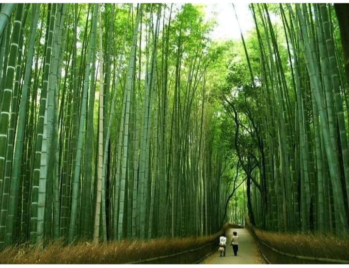 Screenshot-2021-09-03-11-34-51-852-com-a