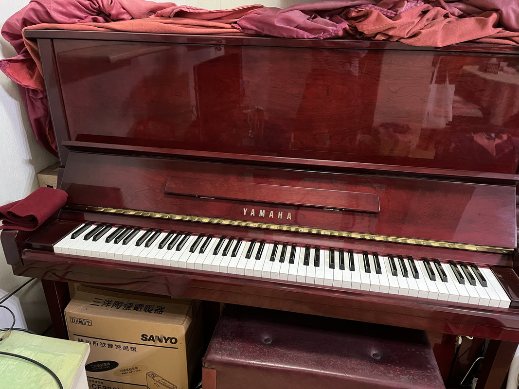 B84B9A03-12C9-41FA-B909-ADF81DD28AFE_0