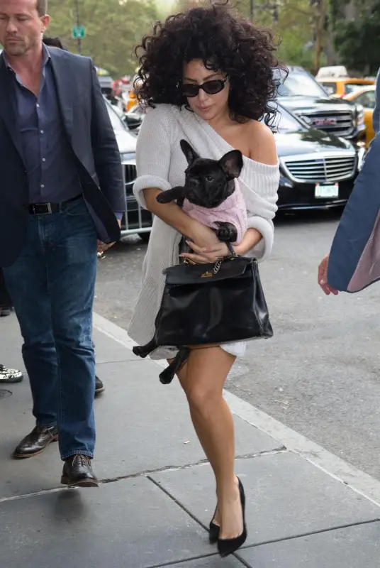 9-5-14-Arriving-at-her-apartment-in-NYC-