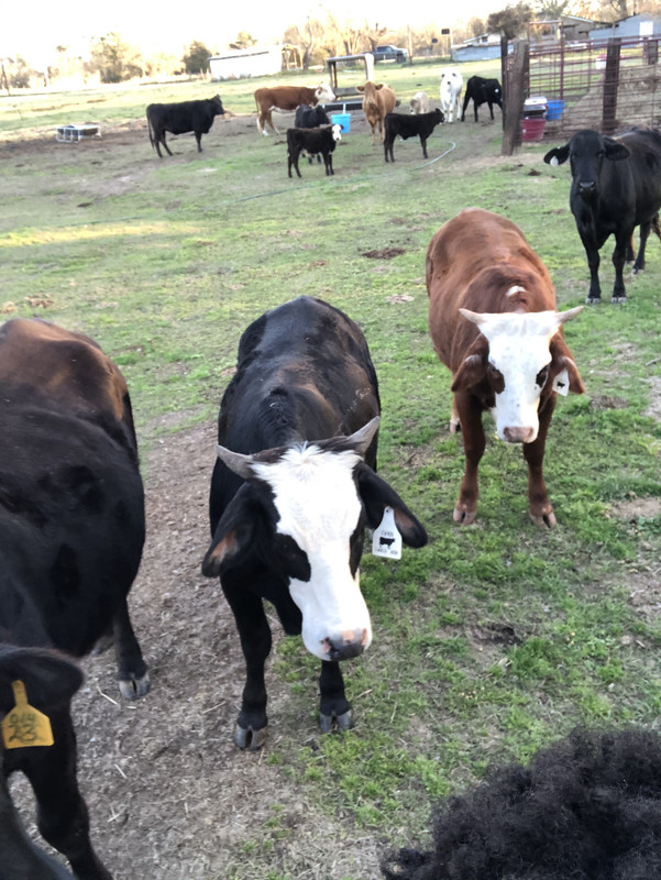 69F72425-640E-4E79-A06B-80AD5C617E90