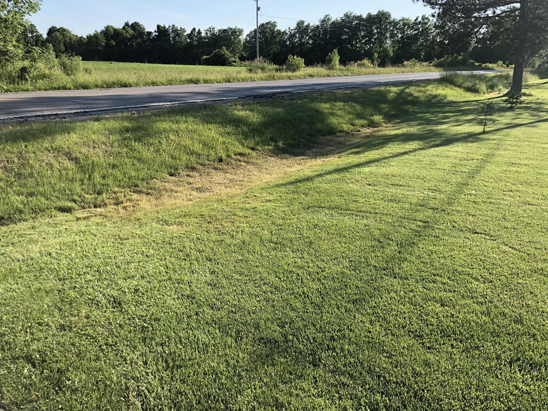 E6774C1F-FC82-453E-8448-C2DD12474994