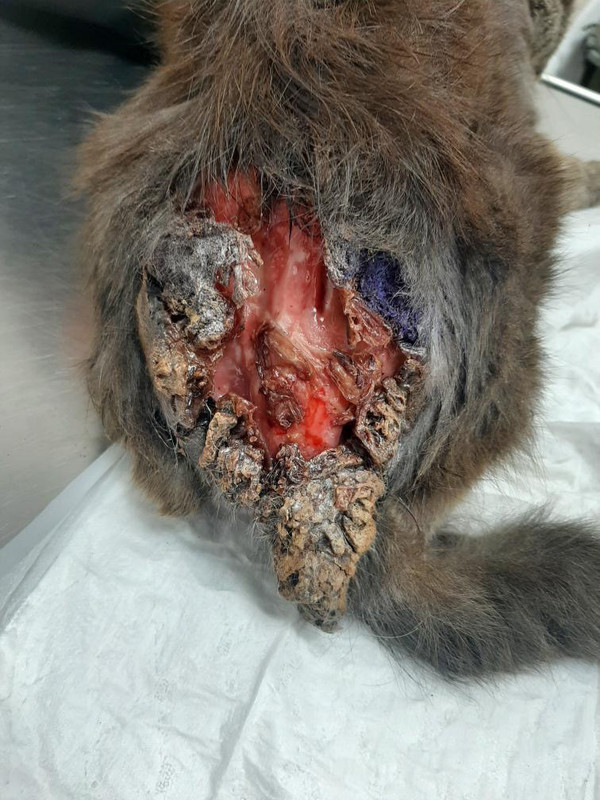 AE70B07B-D49C-43CA-B7E7-3E0B5148D00A