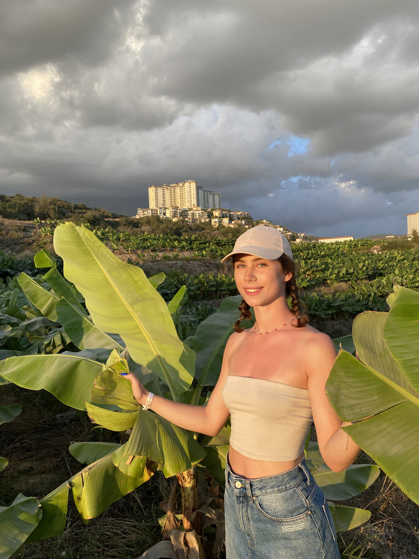 7443CF88-09D8-46D7-8356-C0CAC048D551