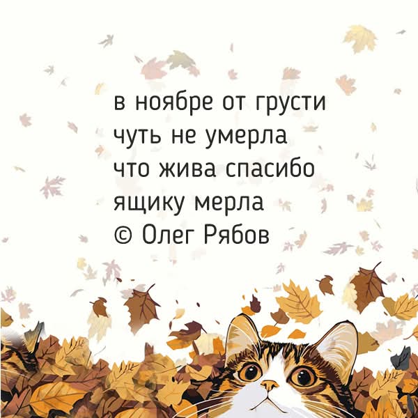 FB IMG 1763882738528