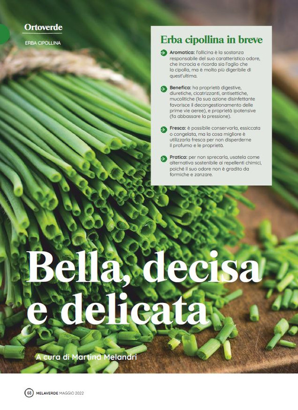 melaverde Mag 2022 (9)