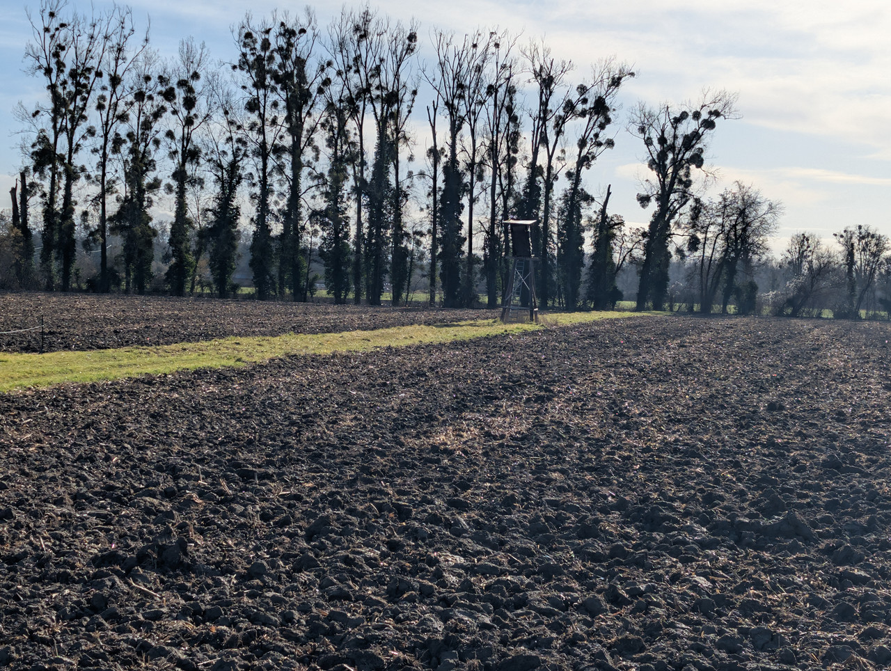 PXL 20260207 101106878