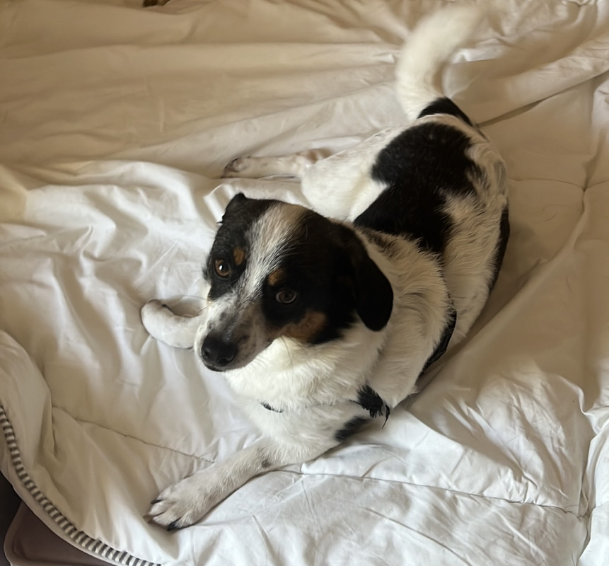 0E60BB82-B176-4A5E-82F2-37B8F8BB7ACE