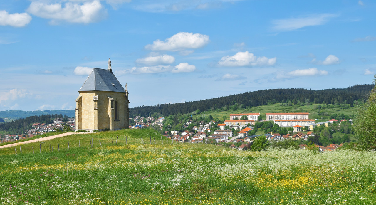 40 - « La beauté nous sauvera-t-elle »