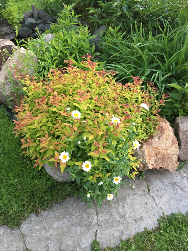 2AB41DF9-7179-4E13-89BD-5F2D1CC9D31B