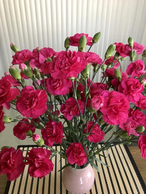 [Image: B6596823-2-BD1-4988-85-B6-F8-BE366-CBC3-F.jpg]