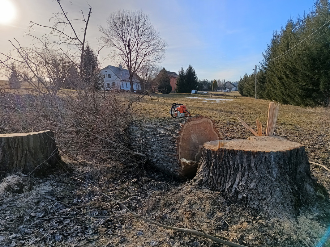 IMG_20250304_153832657_HDR