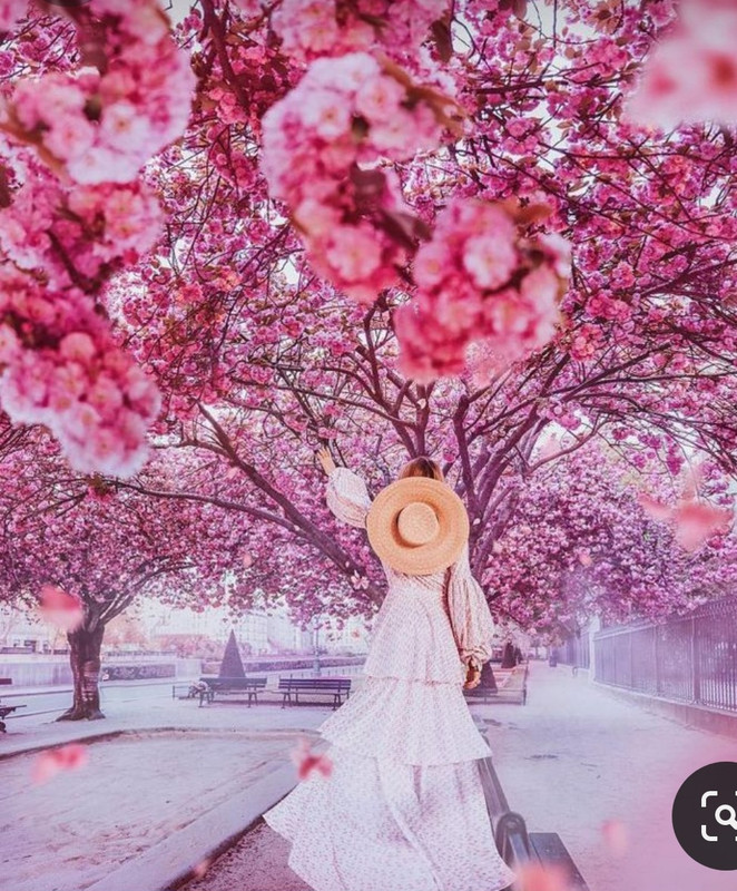 Screenshot_20240204_152747_Pinterest