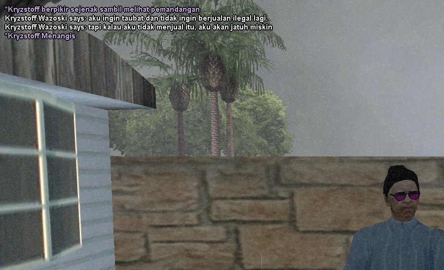 SS3.png