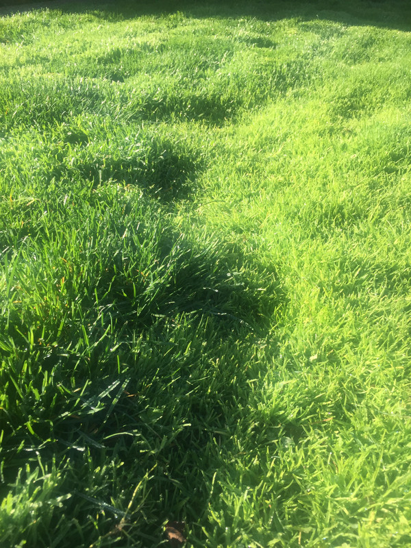 CD241DBB-11AC-4DAF-BFB9-2DB5C55D4F62