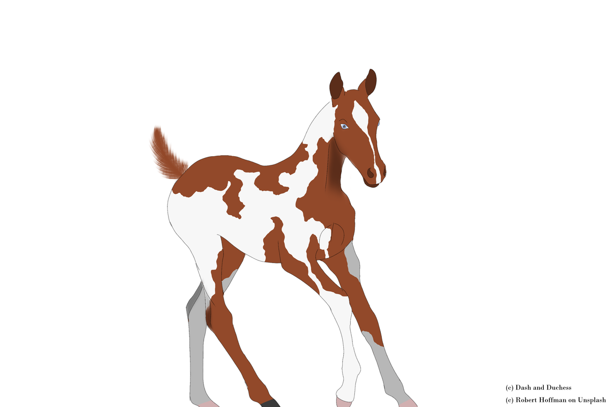 perlino-3-20241016131242.png