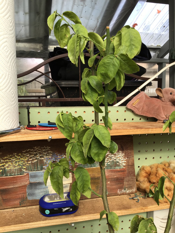 1806F4D0-08C7-40A7-9176-2048C682F3D3