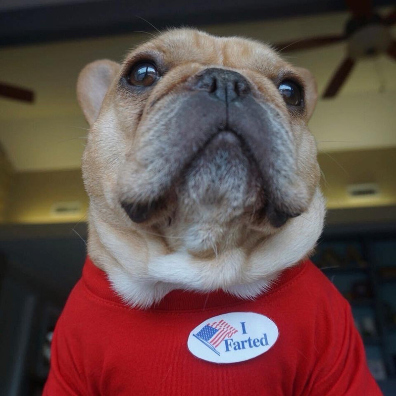 jmZgg3O-7VgcvN86Z6bSlwjKxWlSHOzvwlCuNOMzM1I