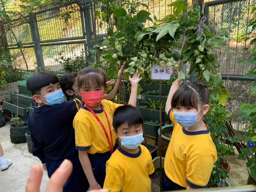 photo-littlefarmer2223-2B-002