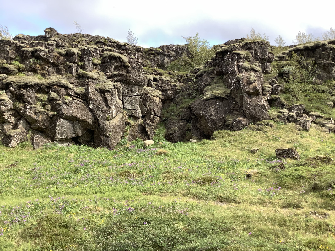 CB86212B-1FF1-48F3-96EA-B5BA3D9B791C