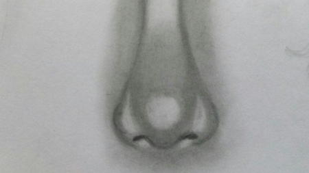 Complete fundamentals of drawing+examples+drawing of nose