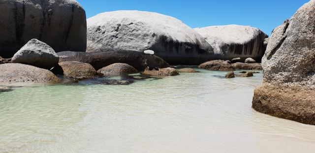 DÍA 3: PENINSULA DEL CABO - Sudáfrica y Seychelles 2018 - Una Honeymoon llena de vida (17)