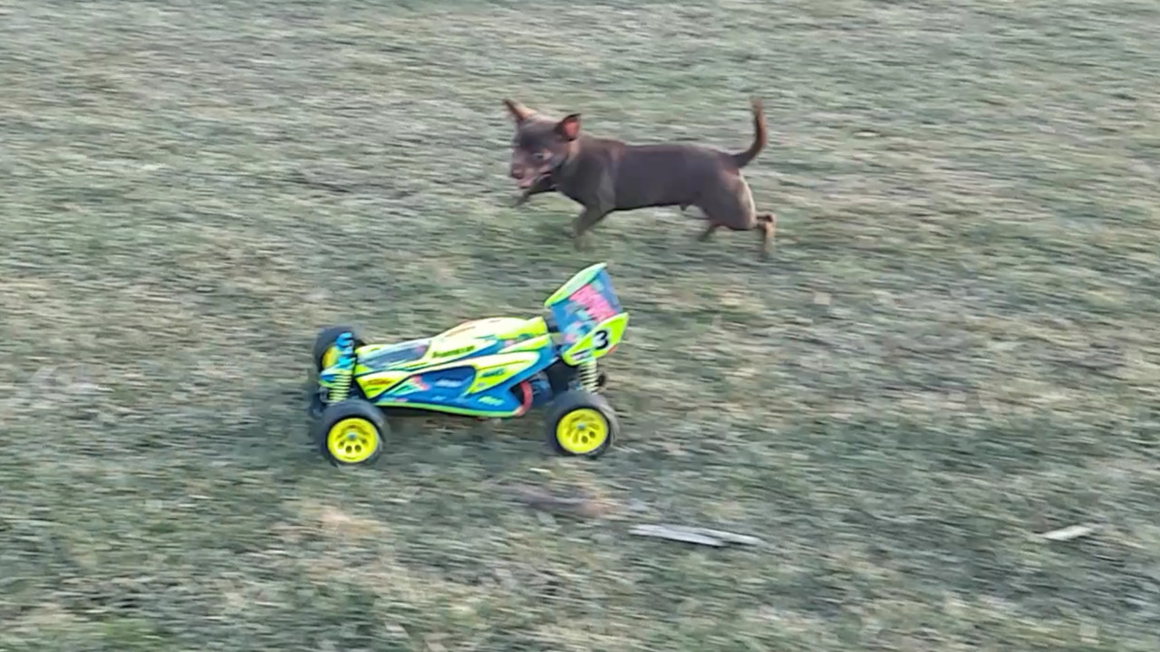 Screenshot-20220418-132707-Video-Player.