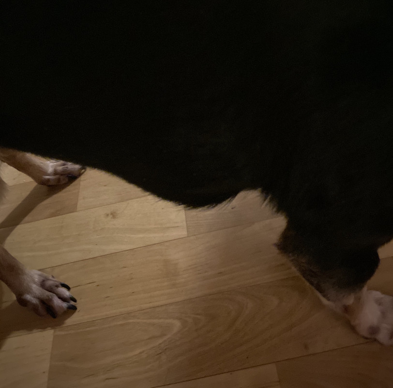 0A00405D-FB4C-418F-B181-F950533AA865