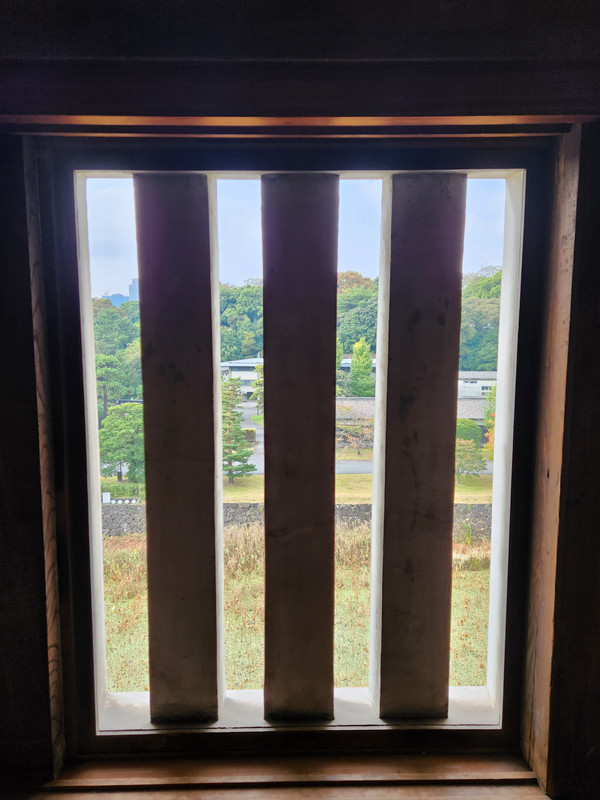 20231105-092556.jpg