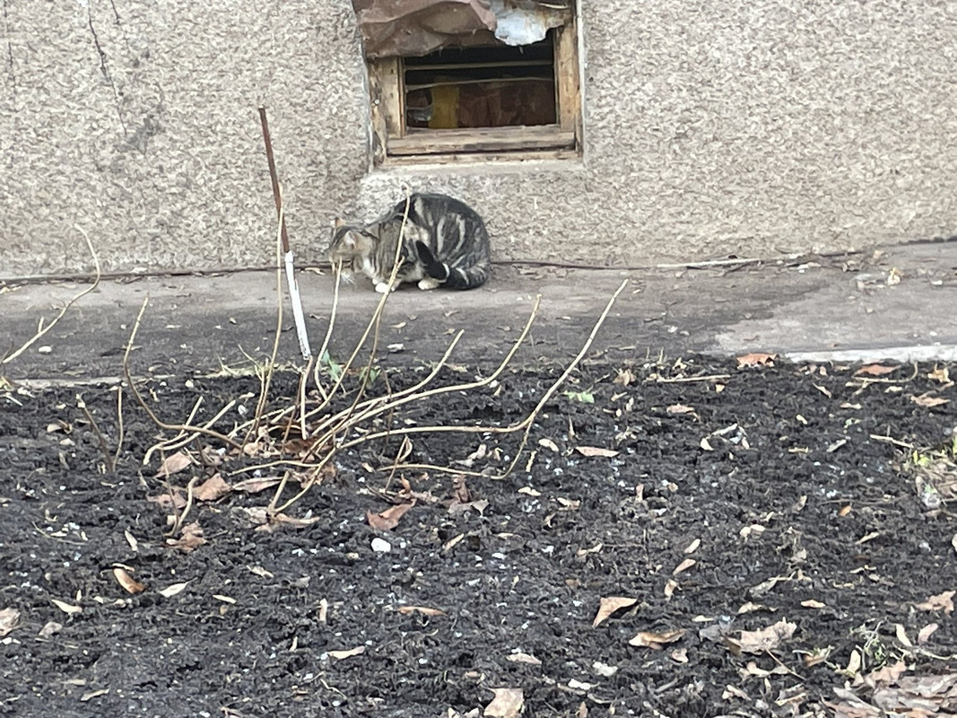 A210BD35-7B24-40CB-8B6A-80F9E730AC8D