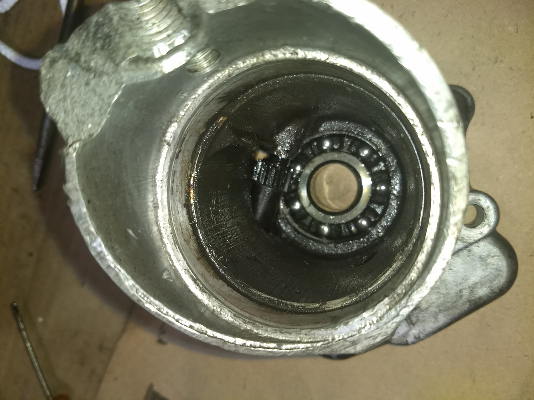 IMG_20191121_194837959