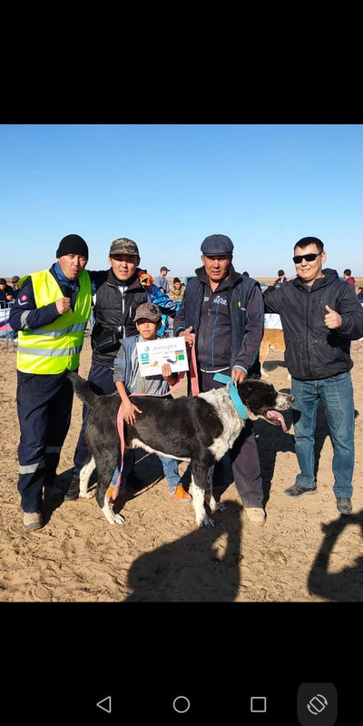 Хаммер до 72 молодой. Прошло на второй тур (пк Жылыой-Арландары)