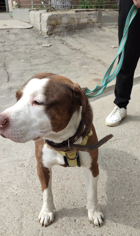 Снимок экрана 2024-04-27 в 09.23.20