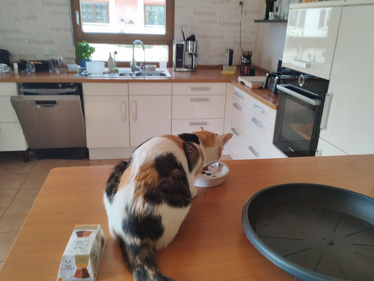 IMG 20260724 122018