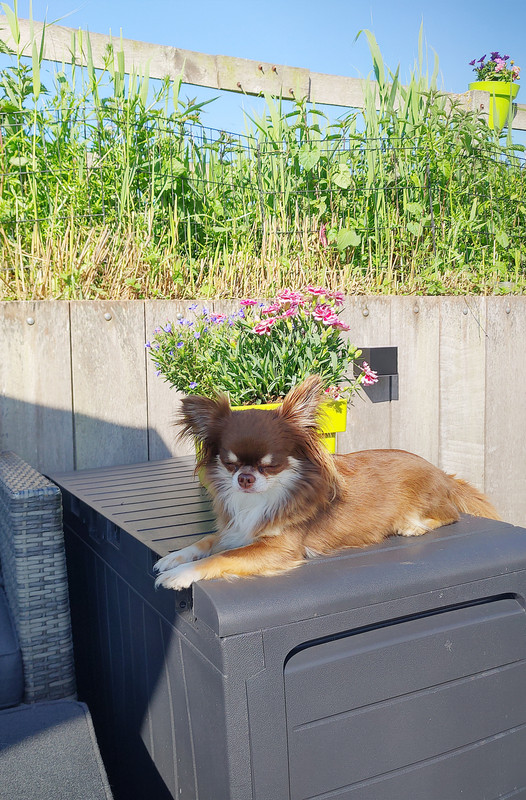 Lumii_20210531_094523750