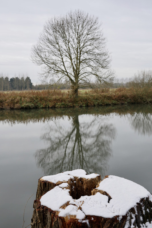 C3B4D5F3-A8F7-4F4E-8580-A3AD91002398