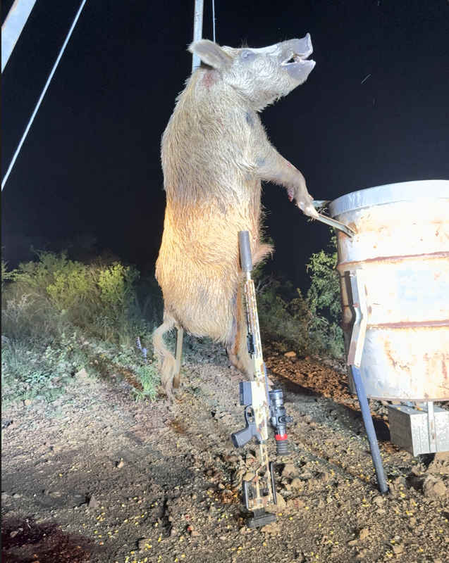 Screen Shot 2025-08-10 at 1.23.28 PM