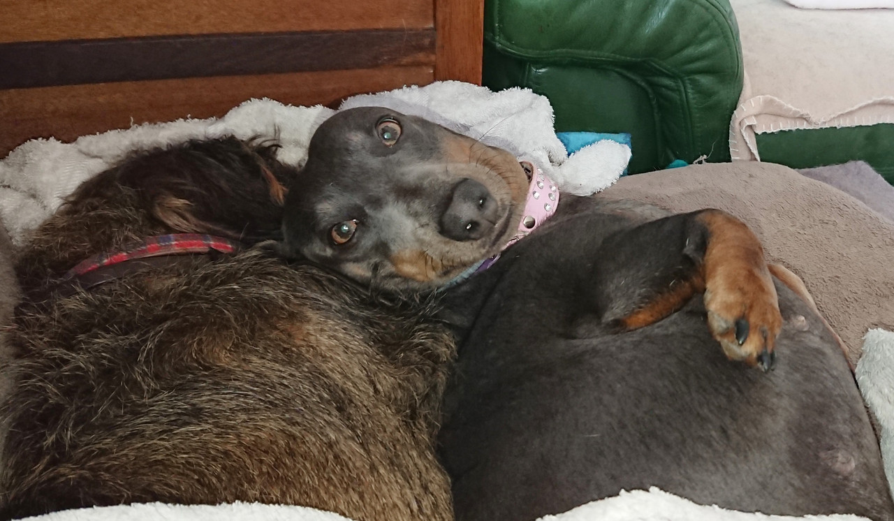 [Image: 20241012-143844.jpg]