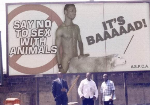 tumblr_mqcfkdmt1g1sybcwko1_500