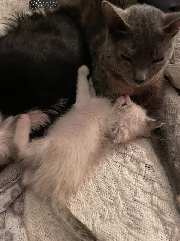 968A43FA-3240-4204-B54E-B39199F1AE7B