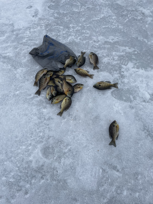 E891A7EF-CB19-460B-923C-68A2E5FEED45