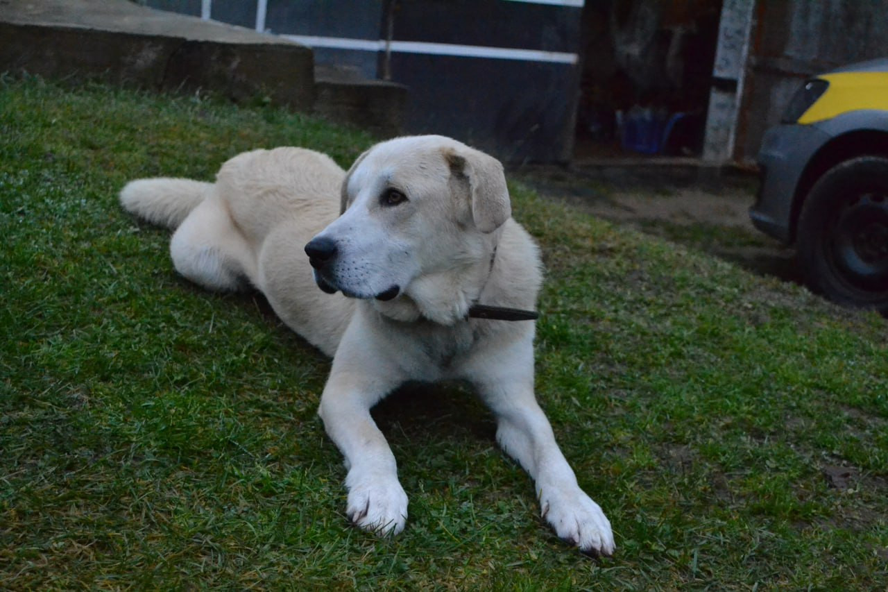 photo 2026 01 07 16 13 41