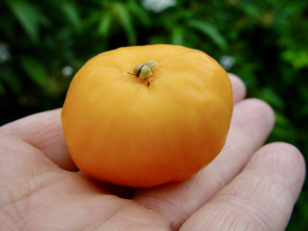 F5DD83F9-1256-4D32-AD2F-103389A51896_1_105_c