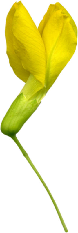 0_1c0e27_626b9e9a_orig