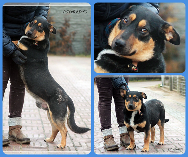 BeFunky-collage (17)