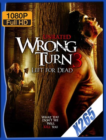 Camino Hacia El Terror 3: Abandonado Para Morir (2009) x265 HD 1080p Latino [GoogleDrive]