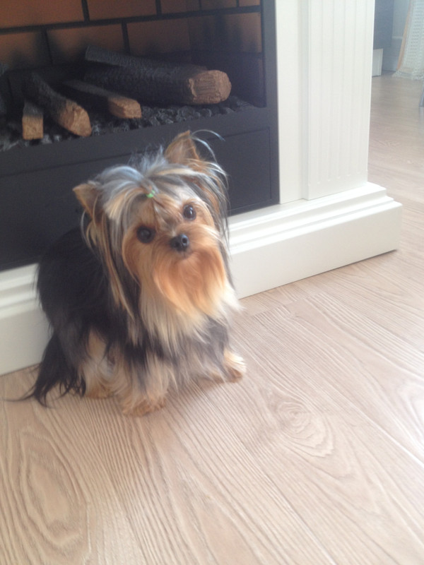 31912049-65B4-44C7-A68F-DEE2C8DFE6C8