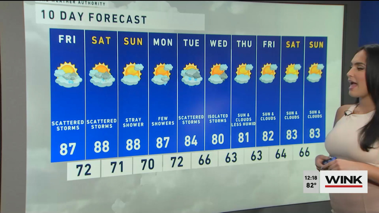 10.14 - 17.00.00 - The WINK Noon News  ᴺᵉʷ. Midday news update..ts_snapshot_24.50.165
