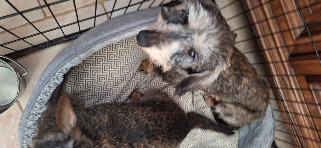 [Image: 20250107-131727.jpg]