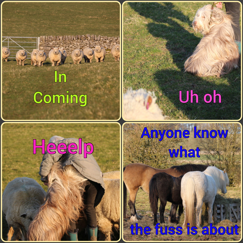 Image Image