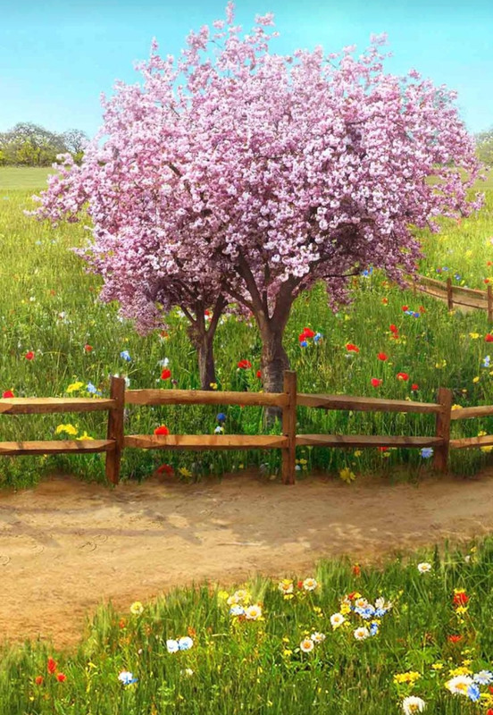 Screenshot_20240218_203546_Pinterest